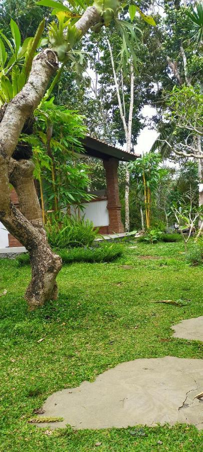 Tangkas House Apartamento Tampaksiring Exterior foto